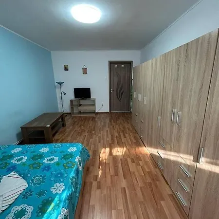 公寓 Apartament Central In *