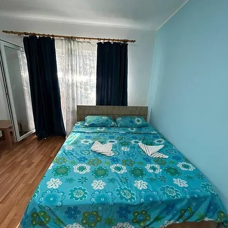 Apartament Central In 公寓